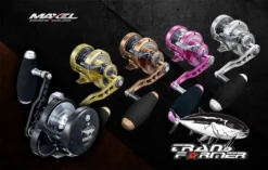 Maxel Transformer F40CH