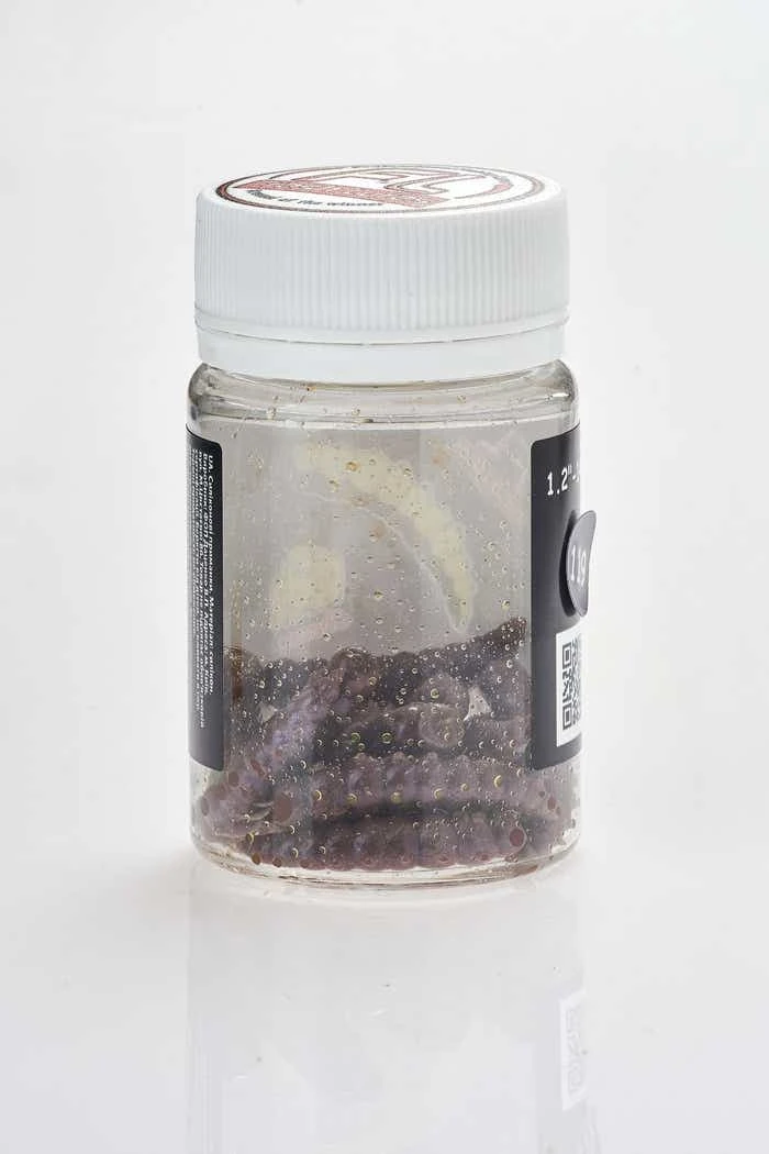 Freshlures Junior 4 Freshlures Junior - Bilde 4