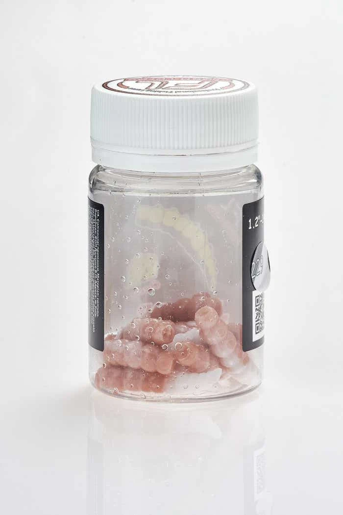 Freshlures Junior 16 Freshlures Junior - Bilde 16